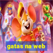 gatas na web